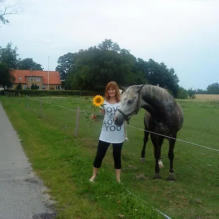 Oster Vaaen